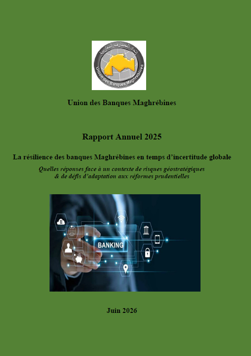 rapport ubm2025fr